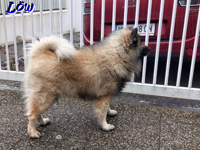 15.12.2025 - Ist drau&szlig;en mehr Schnee?